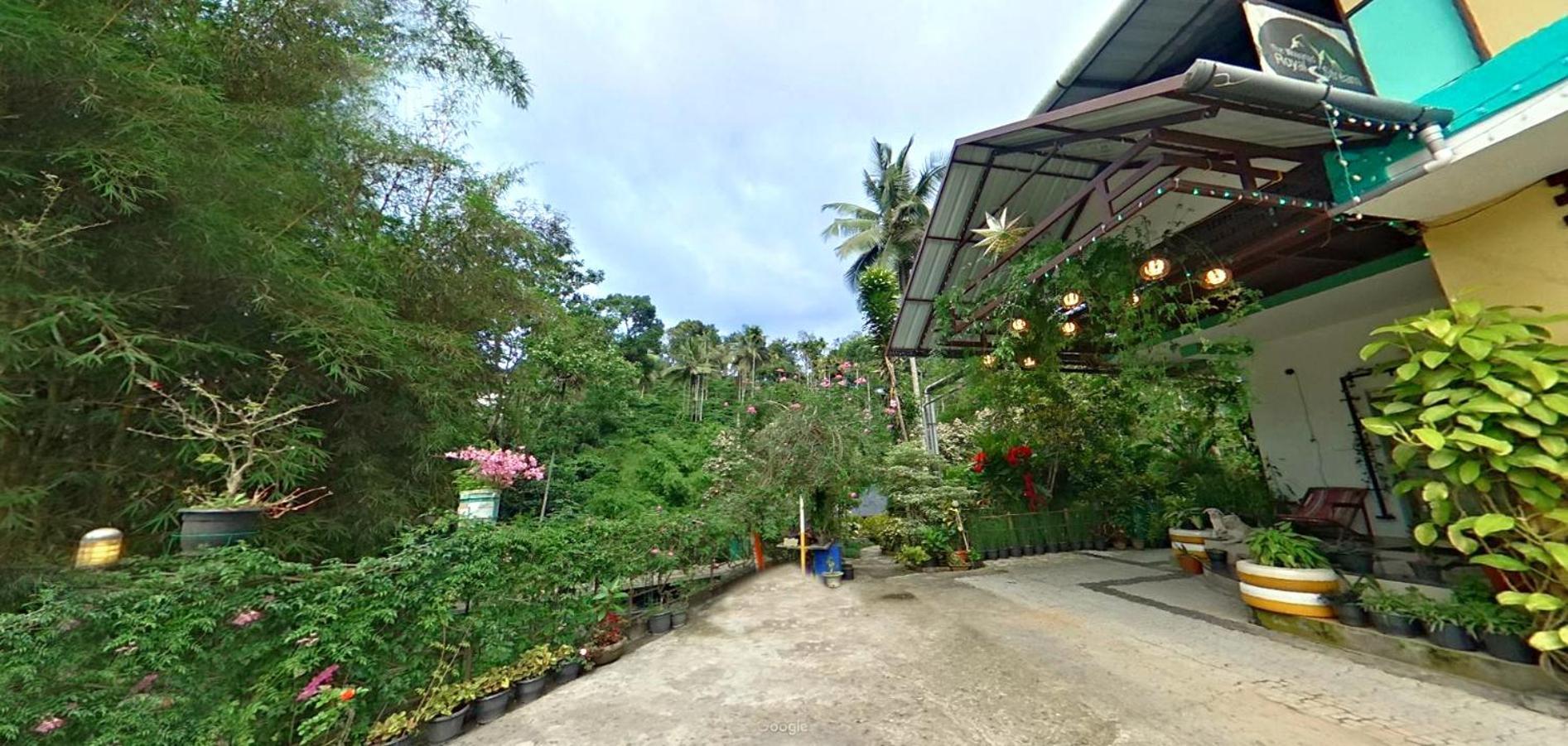 Wayanad Royal Stream Bed & Breakfast Kalpatta Exterior foto