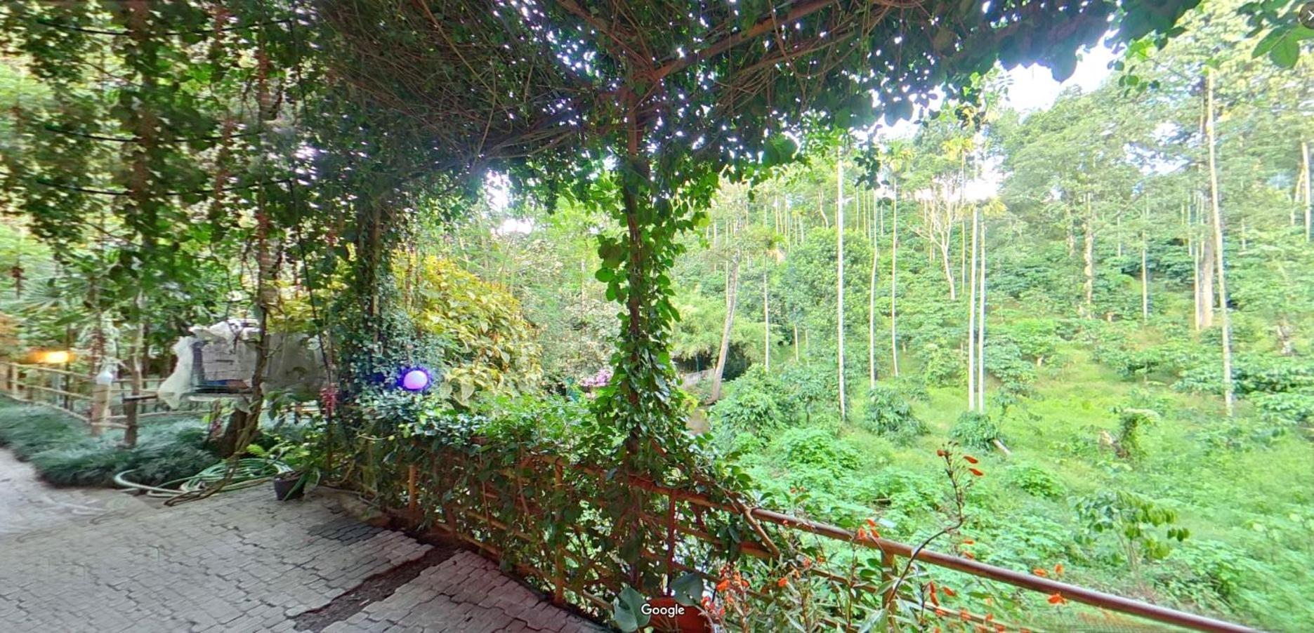 Wayanad Royal Stream Bed & Breakfast Kalpatta Exterior foto