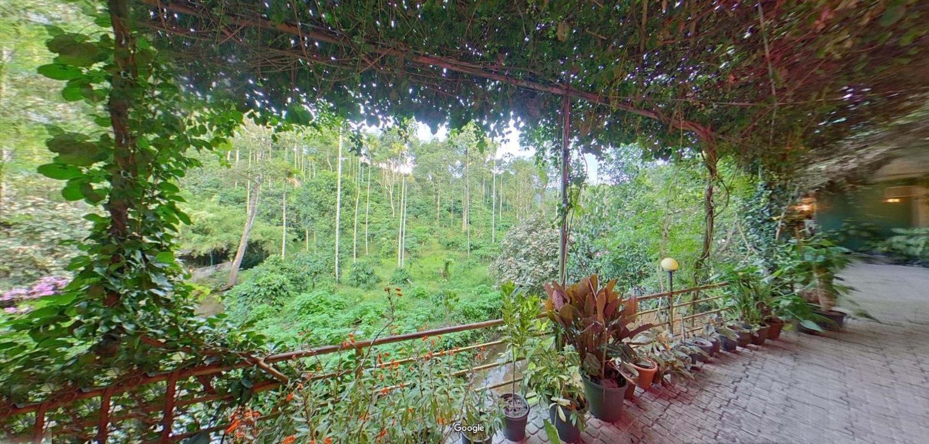 Wayanad Royal Stream Bed & Breakfast Kalpatta Exterior foto