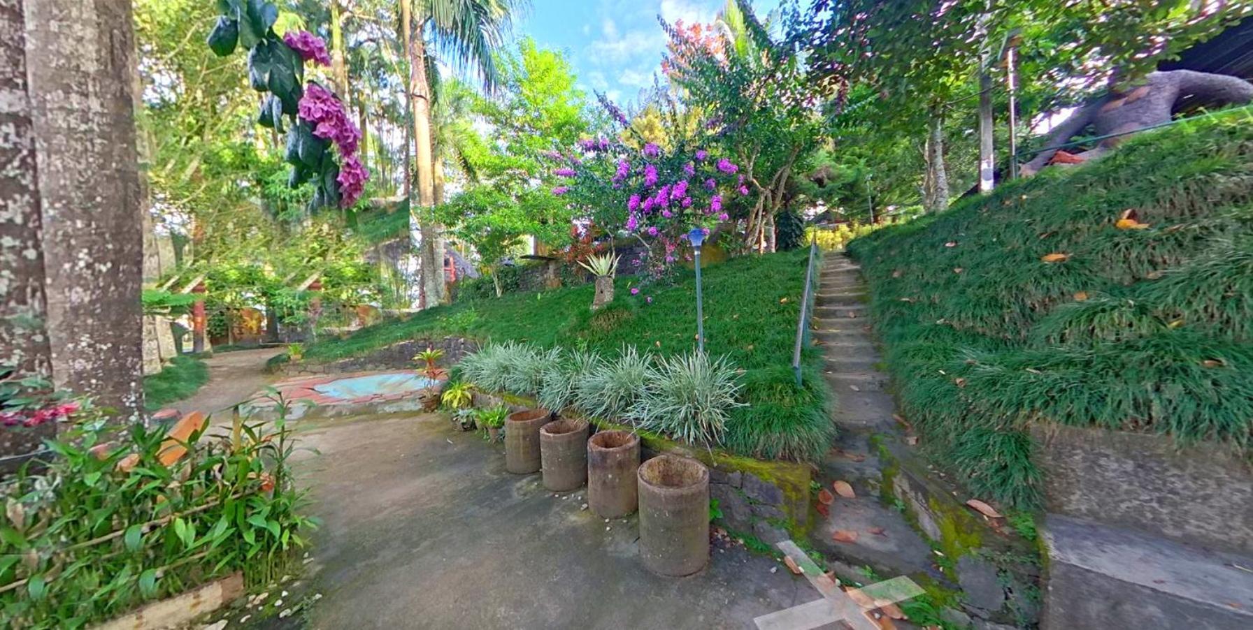 Wayanad Royal Stream Bed & Breakfast Kalpatta Exterior foto