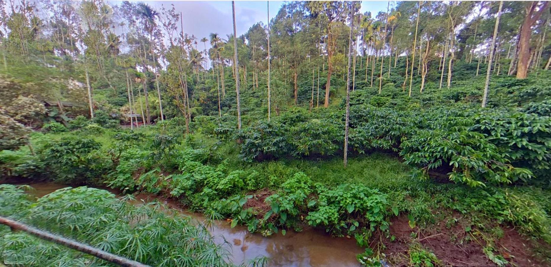 Wayanad Royal Stream Bed & Breakfast Kalpatta Exterior foto