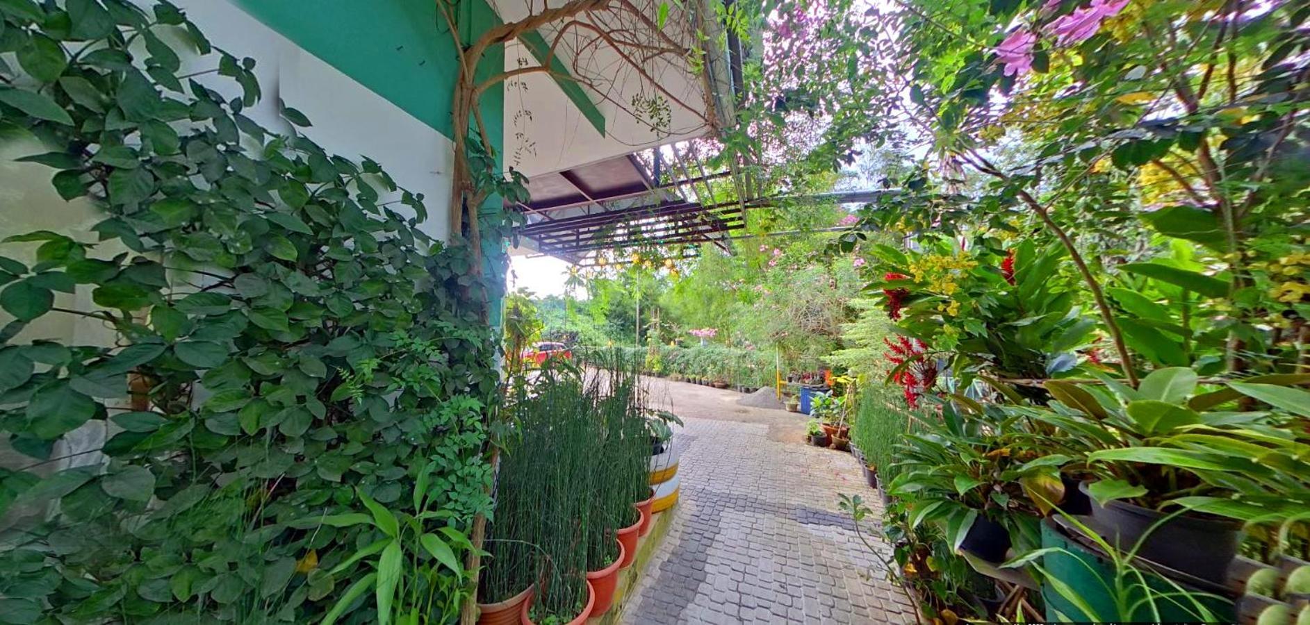 Wayanad Royal Stream Bed & Breakfast Kalpatta Exterior foto