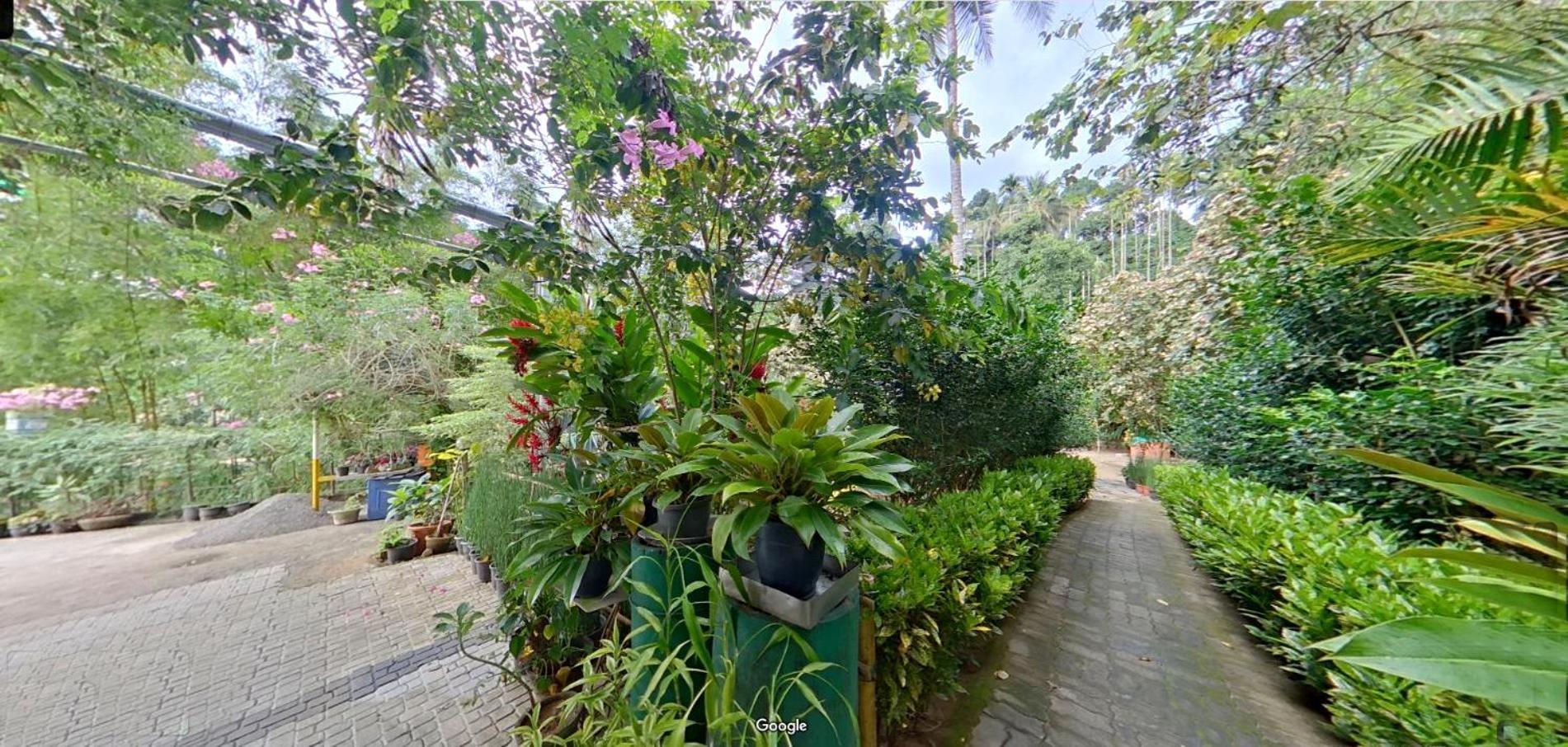 Wayanad Royal Stream Bed & Breakfast Kalpatta Exterior foto