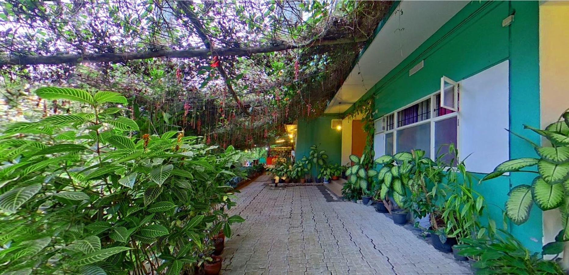 Wayanad Royal Stream Bed & Breakfast Kalpatta Exterior foto