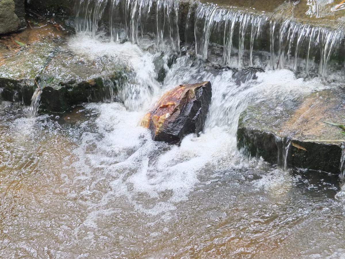 Wayanad Royal Stream Bed & Breakfast Kalpatta Exterior foto